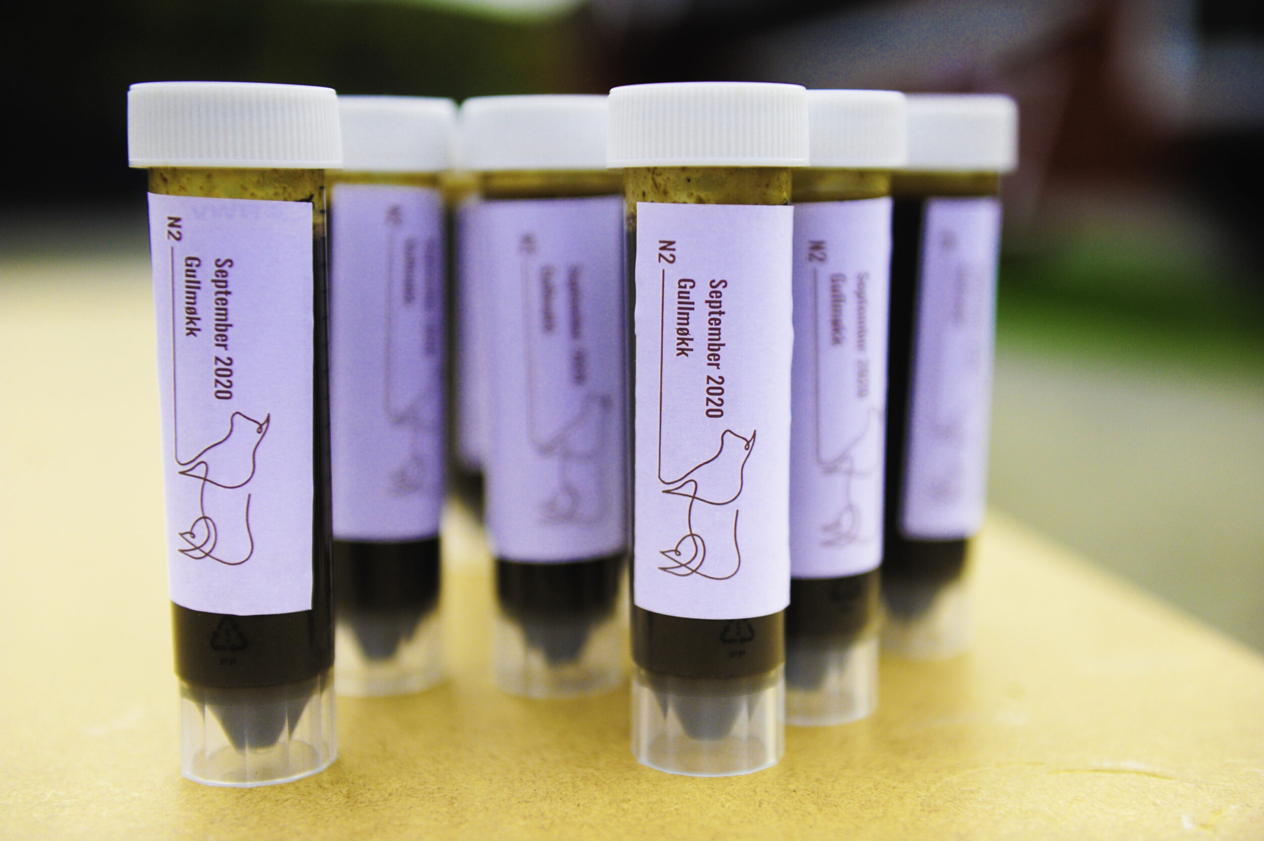 M&oslash;kk i reagensr&oslash;r